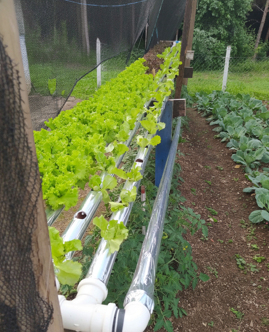 Foto 4 da CT Masculina