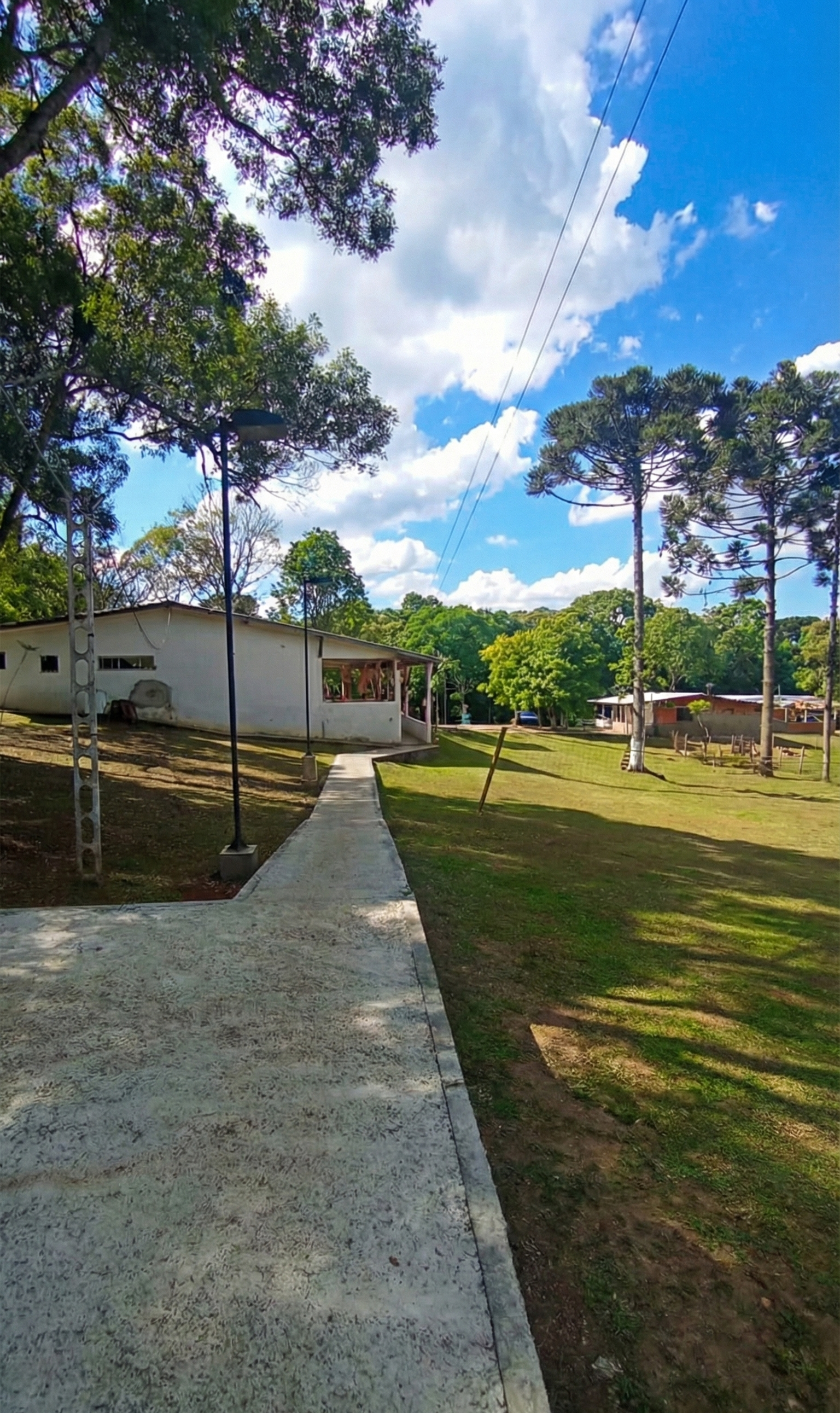 Foto 4 da CT Masculina