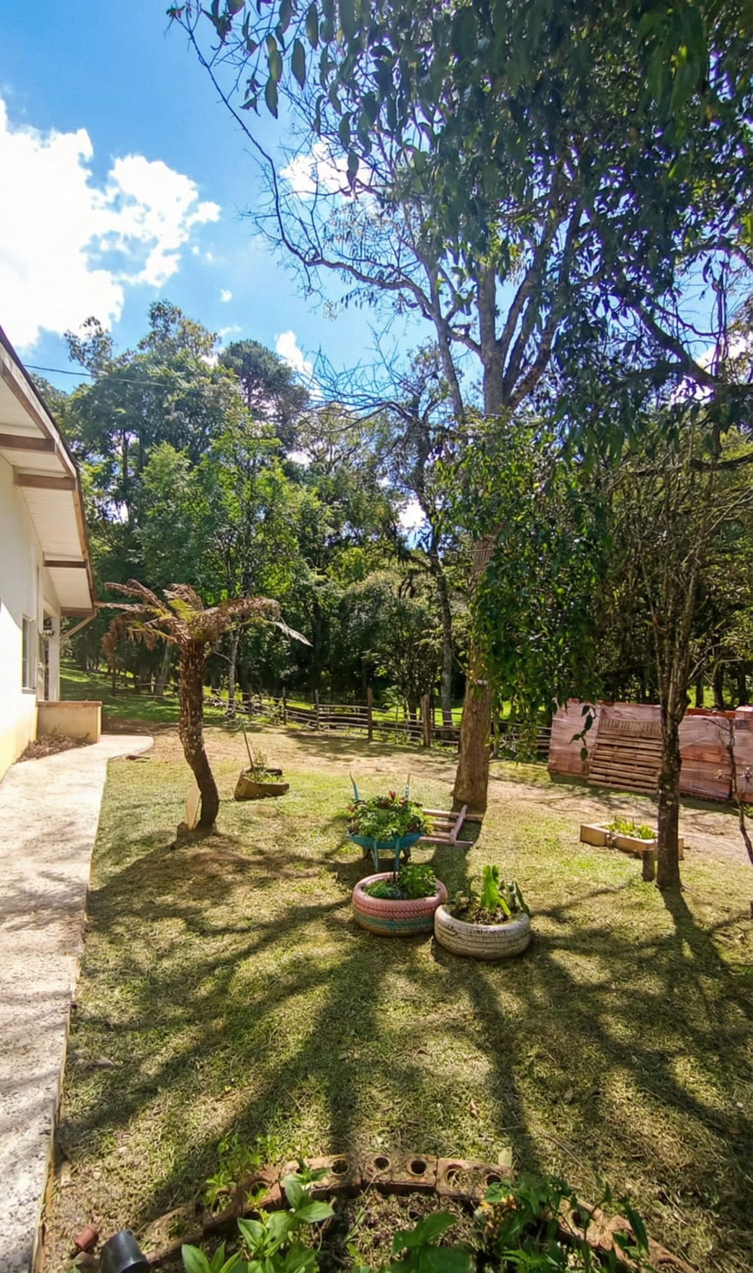 Foto 7 da CT Masculina