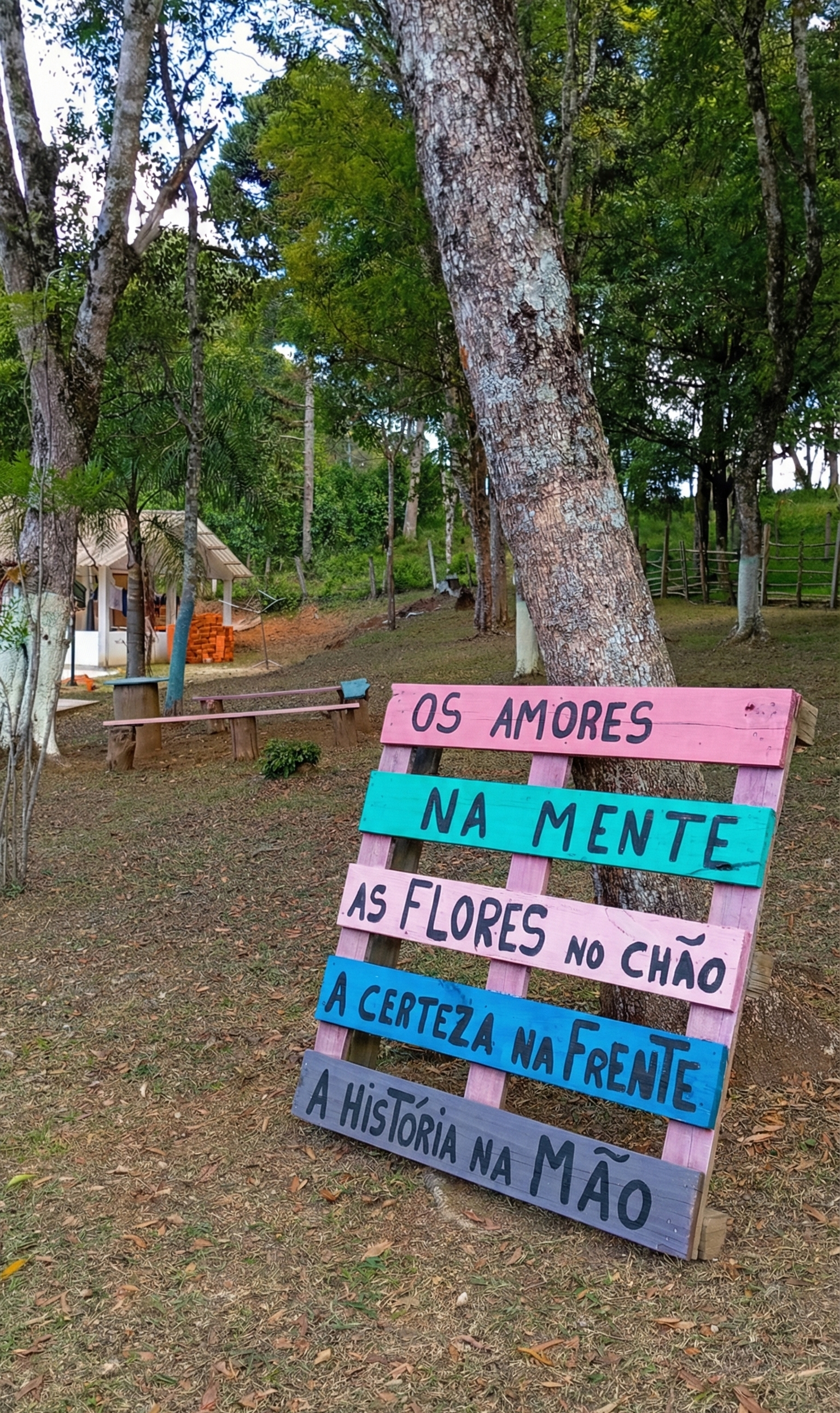 Foto 10 da CT Masculina