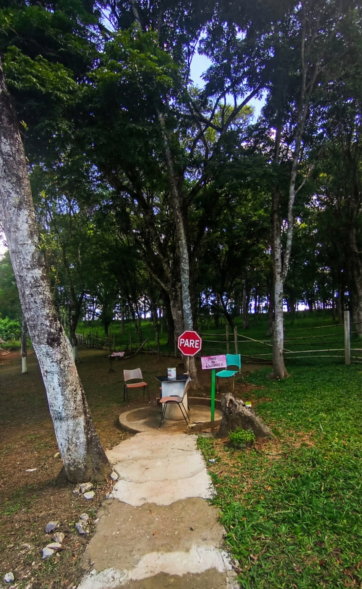 Foto 10 da CT Masculina